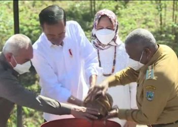 Governor of West Papua while sowing soil and water