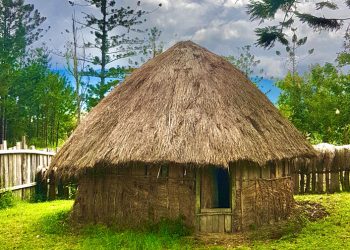 Honai, a traditional Papuan house