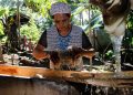 The Potential of Sago as Energy Security