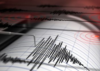 Earthquake M 4,1 rocks Jayapura Papua, Centered on Land