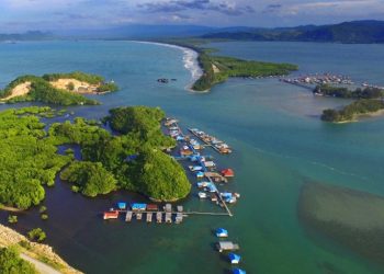 The Uniqueness of Women's Customary Forests in Papua