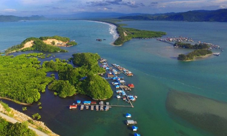 The Uniqueness of Women's Customary Forests in Papua