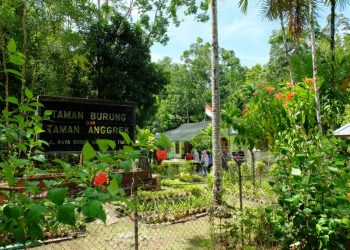 Bird Park and Orchid Garden in Biak Papua