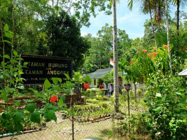 Bird Park and Orchid Garden in Biak Papua