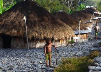 Honai Papua Traditional House: Uniqueness, Origins, and the Manufacturing Process