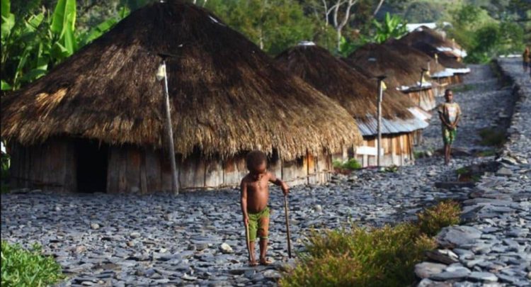 Honai Papua Traditional House: Uniqueness, Origins, and the Manufacturing Process
