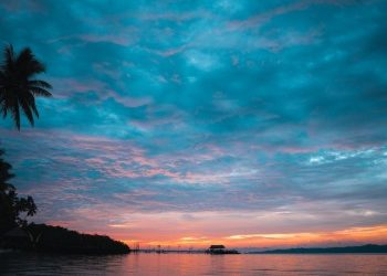 Environment-Based Tourism Opportunities in Papua