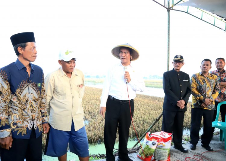 Boosting Agricultural Growth, South Papua Farmers Receive Vital Support. Source InfoPublik.