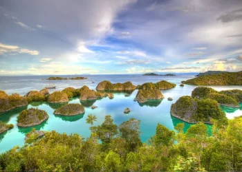 Economic Growth Peaks in Maluku and Papua, Yet Consumption Challenge Remains a Serious Issue. Source West Papua Diary.