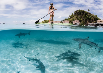 The Wonders of Raja Ampat, Here Are 7 Unique Facts That Captivate the World. Source CNN.