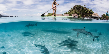 The Wonders of Raja Ampat, Here Are 7 Unique Facts That Captivate the World. Source CNN.