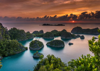 Papua Simbol Pahlawan Alam yang Berjuang #SelamatkanPlanetKita Sumber IndonesiaTravel.