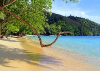 Jayapura and Its Fascinating History