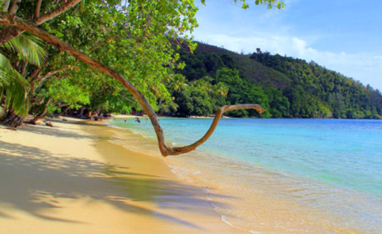 Jayapura and Its Fascinating History