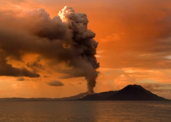 Preventing Natural Disasters in Papua