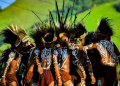 The Perang Dance Papua