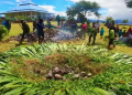 Papua’s Bakar Batu Ritual