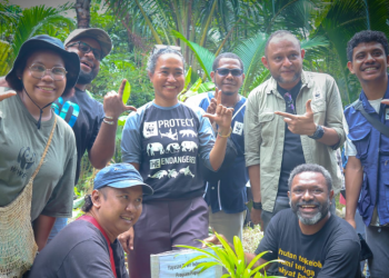 WWF Introduces Reconnect App to Monitor Sago Tree Growth in Papua's Customary Forests