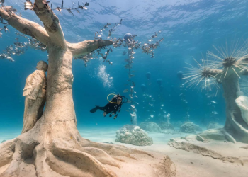 Biak's Underwater Museum Proposed as Cultural Heritage Site