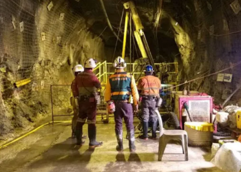 LBH Papua Calls for Investigation into Alleged Gratuities Involving PT Freeport Indonesia and Local Labor Office