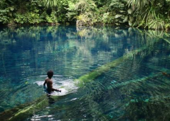 Study Highlights Waremdi River’s Potential as a Promising Tourist Destination