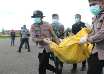 TPNPB-OPM Claims to Have Killed 17 Illegal Gold Miners in Papua, Illegal Mining Activities Persist