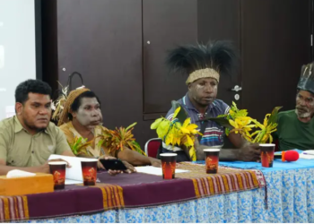 Indigenous Communities in Merauke Urge Government to Allow UN Experts to Visit Papua Over PSN Concerns