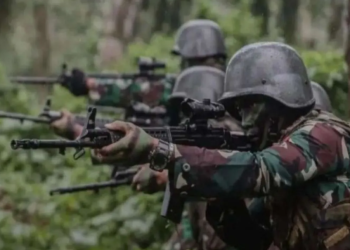 TNI Neutralizes Three OPM Members in Central Papua Operation