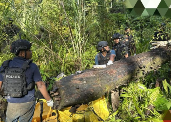 Death Toll of Gold Miners Killed by Armed Group in Yahukimo Rises to Seven