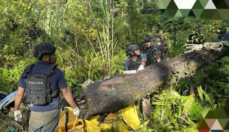 Death Toll of Gold Miners Killed by Armed Group in Yahukimo Rises to Seven
