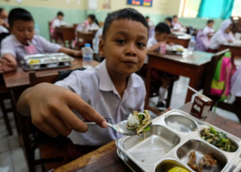 Free Nutritious Meal Program Shows Tangible Impact on Children and Local Economy in Papua