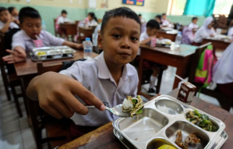 Free Nutritious Meal Program Shows Tangible Impact on Children and Local Economy in Papua