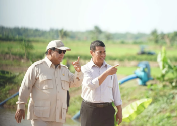 Prabowo Calls for Palm Oil, Biofuel, and Renewable Energy Development to Support Papua Energy Self-Sufficiency