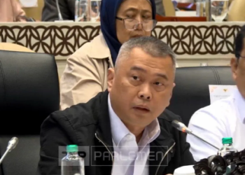 Papua Pioneer Airports Closure After Smart Air Shooting