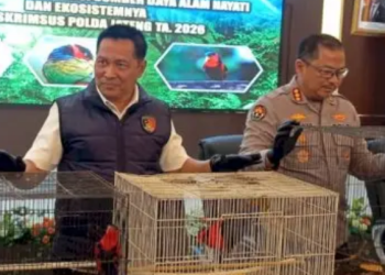 Illegal Wildlife Trade Exposed, 18 Protected Birds Rescued, Three Suspects Arrested in Central Java