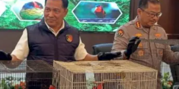 Illegal Wildlife Trade Exposed, 18 Protected Birds Rescued, Three Suspects Arrested in Central Java