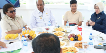 Papua Leaders Strengthen Regional Development Push Through Economic Census 2026 Support